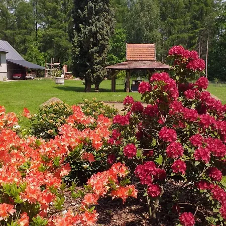 Dworek Mysliwski Laziska (Silesia)