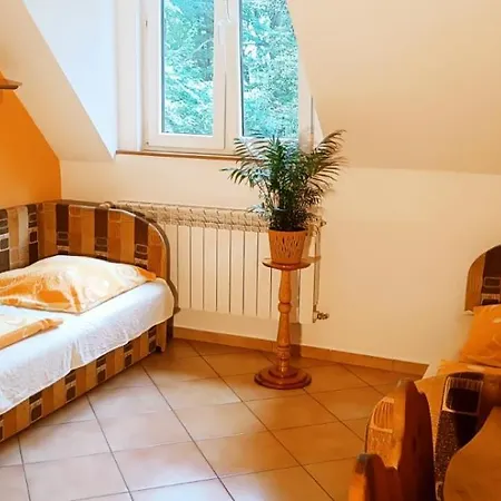 Dworek Mysliwski * Laziska (Silesia)