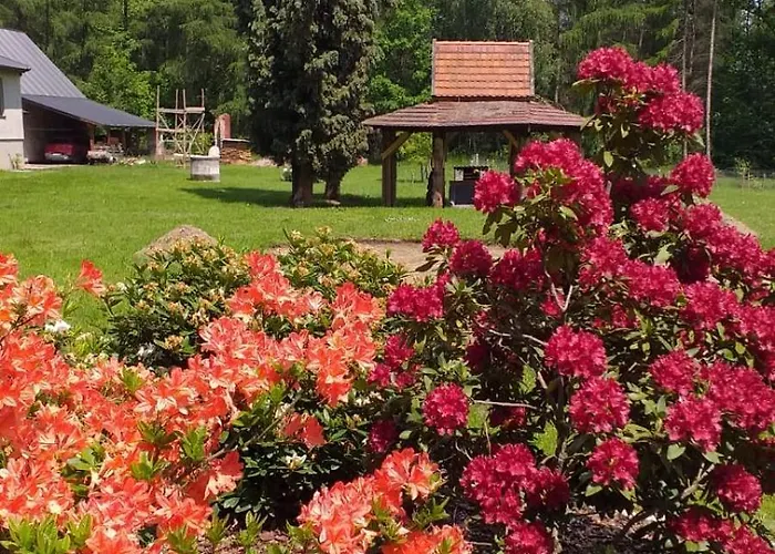 Dworek Mysliwski Laziska (Silesia)